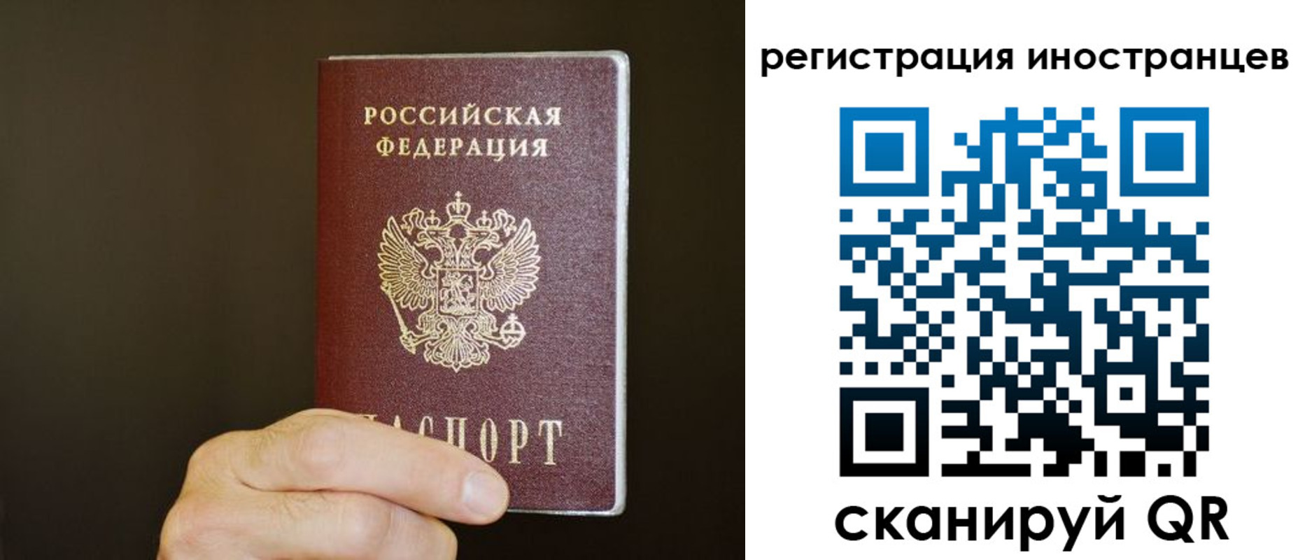 прописка в Дедовске